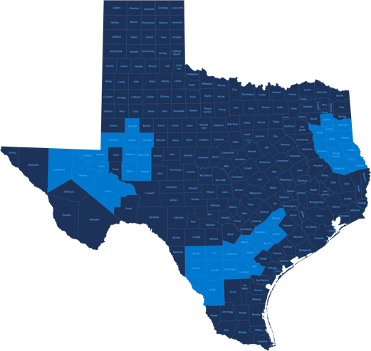 texas counties mineral rights